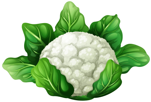 Cauliflower_PNG_Clip_Art-1490