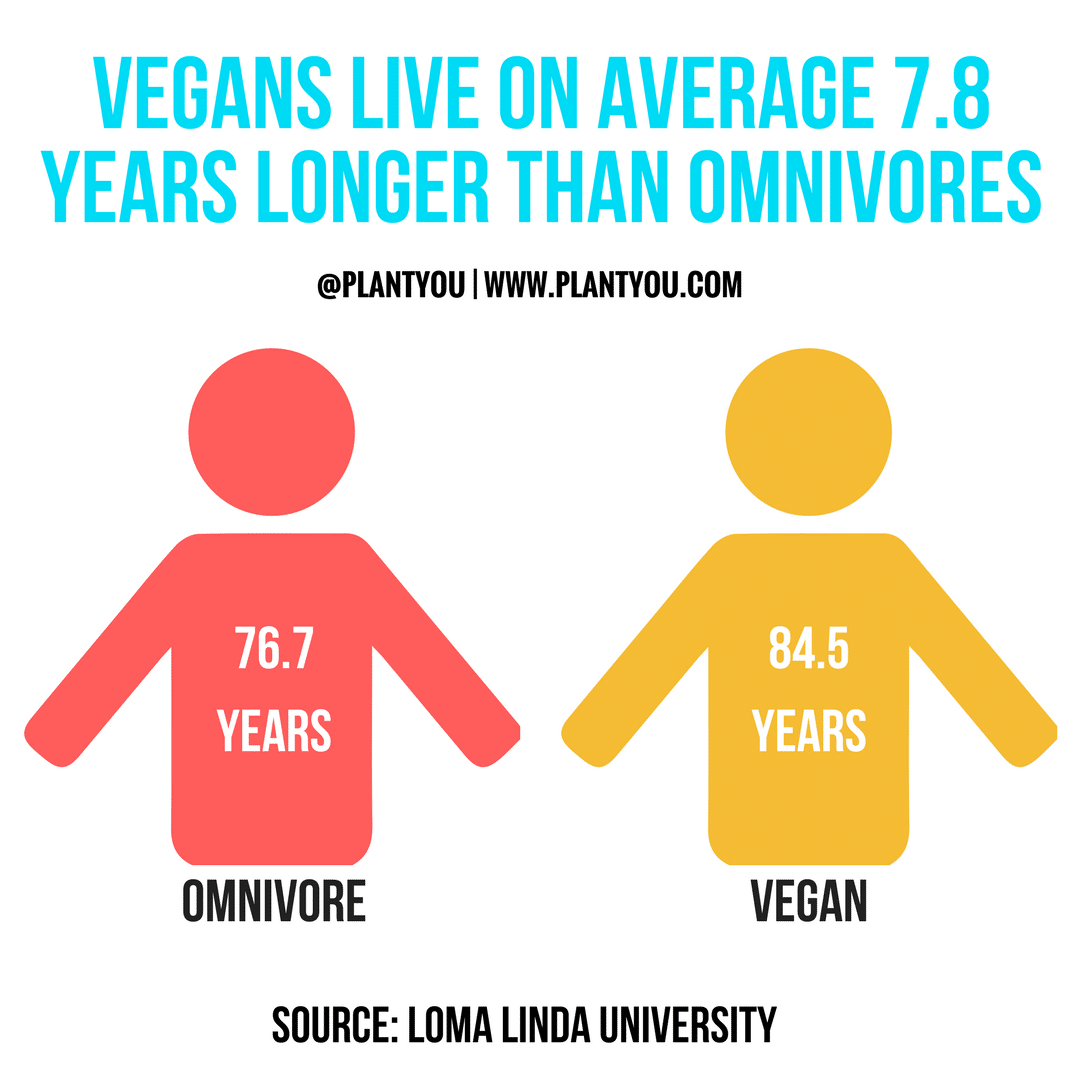 Do Vegetarians Really Live Longer Than Meat Eaters The Shocking Truth