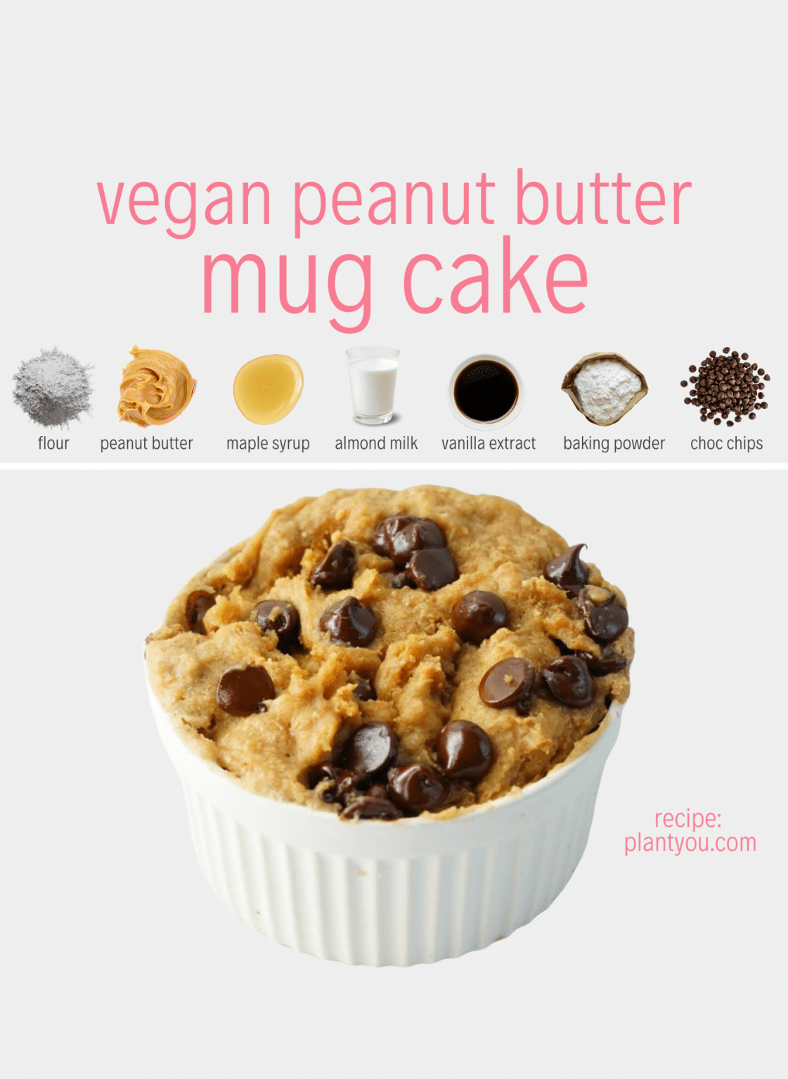Vegan Peanut Butter Mug Cake (Five Minutes) PlantYou