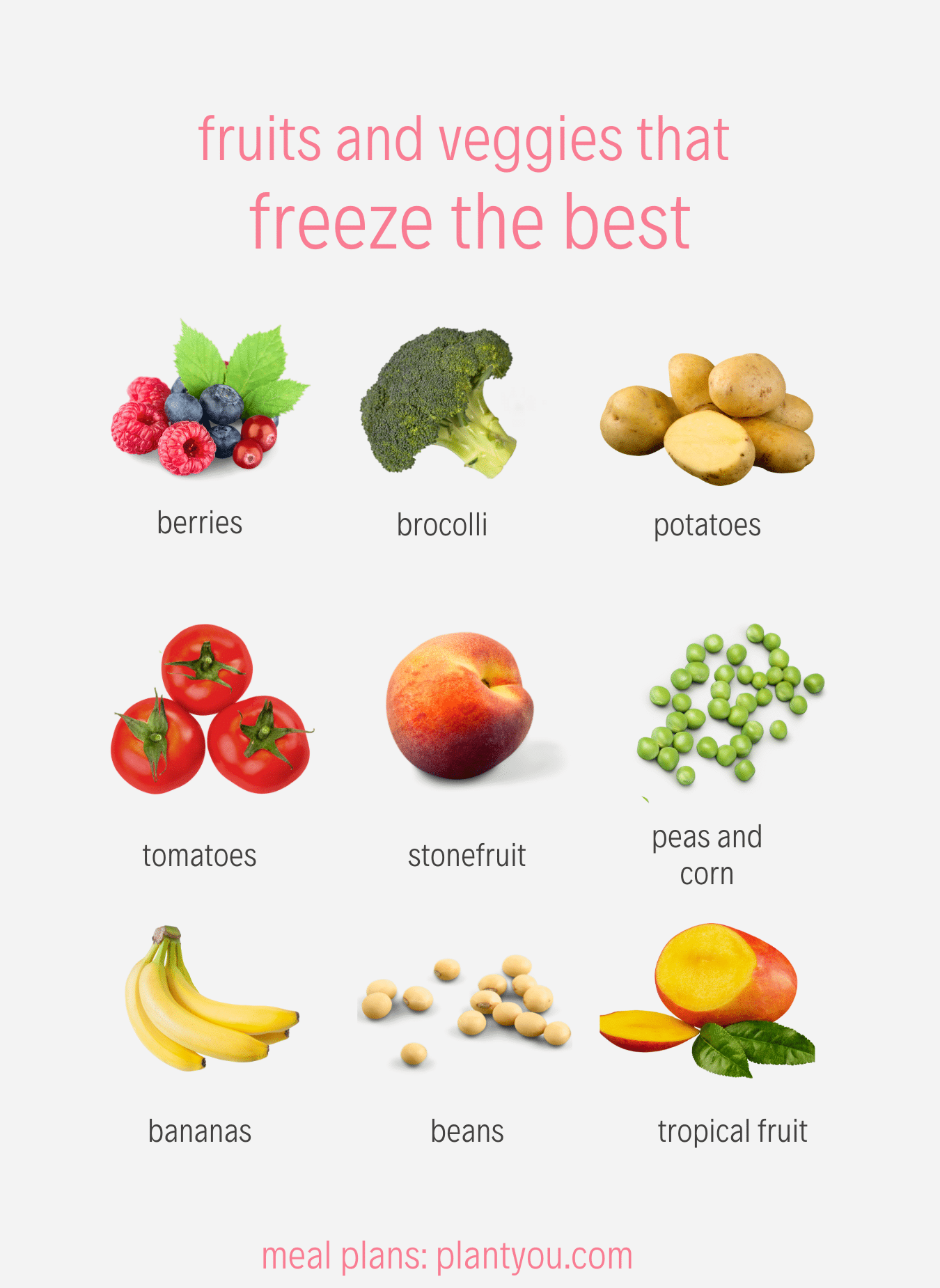 Fruits and Vegetables That Freeze Well - PlantYou