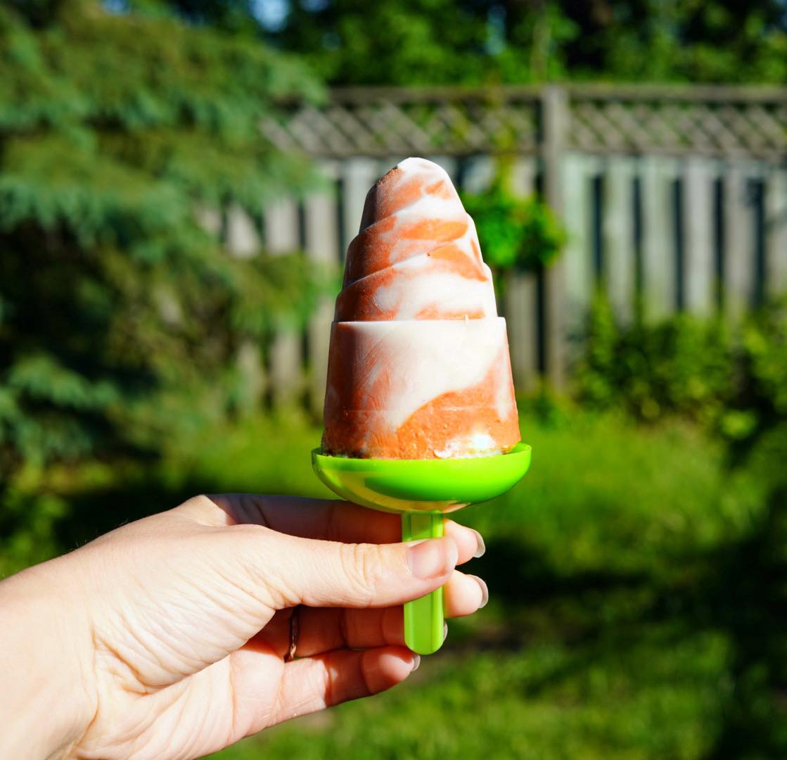 Vegan Fudgesicle