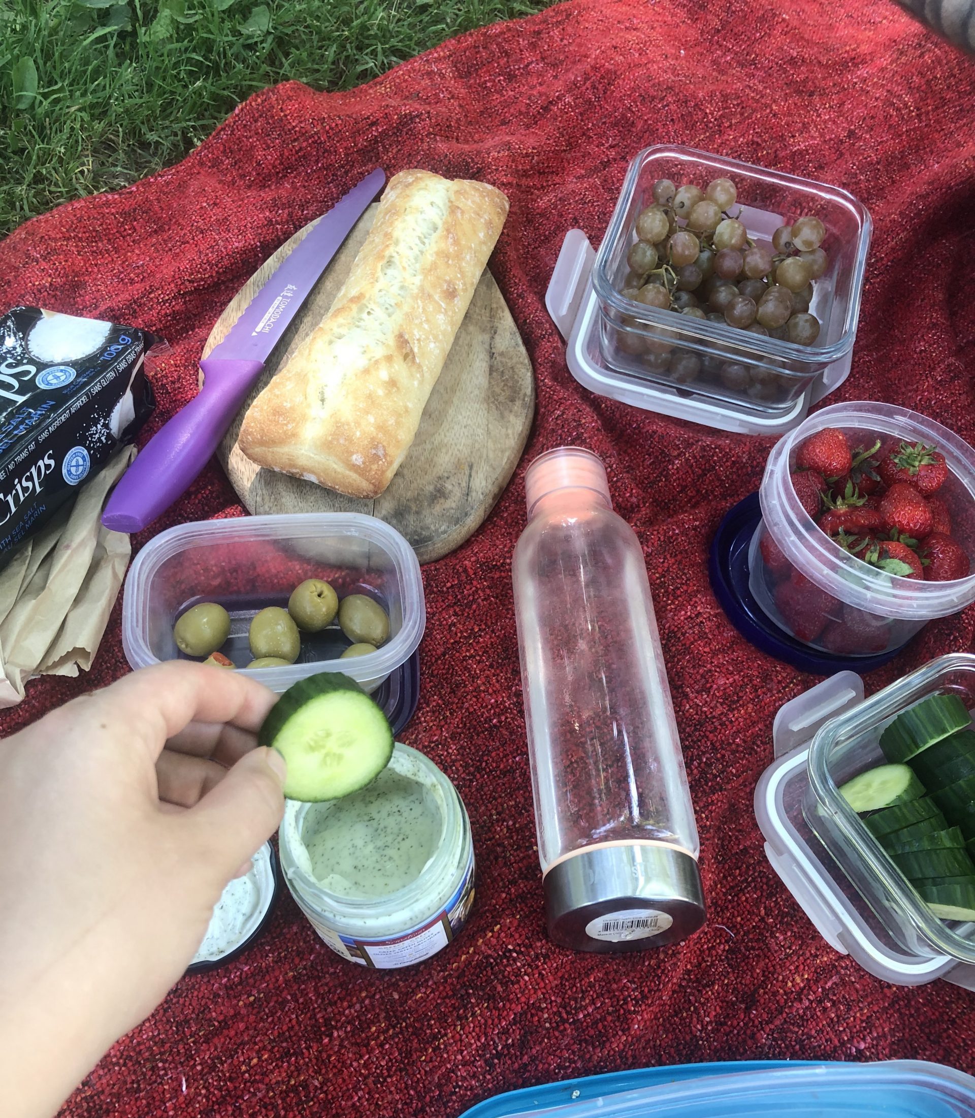 Vegan Picnic Ideas Plant You