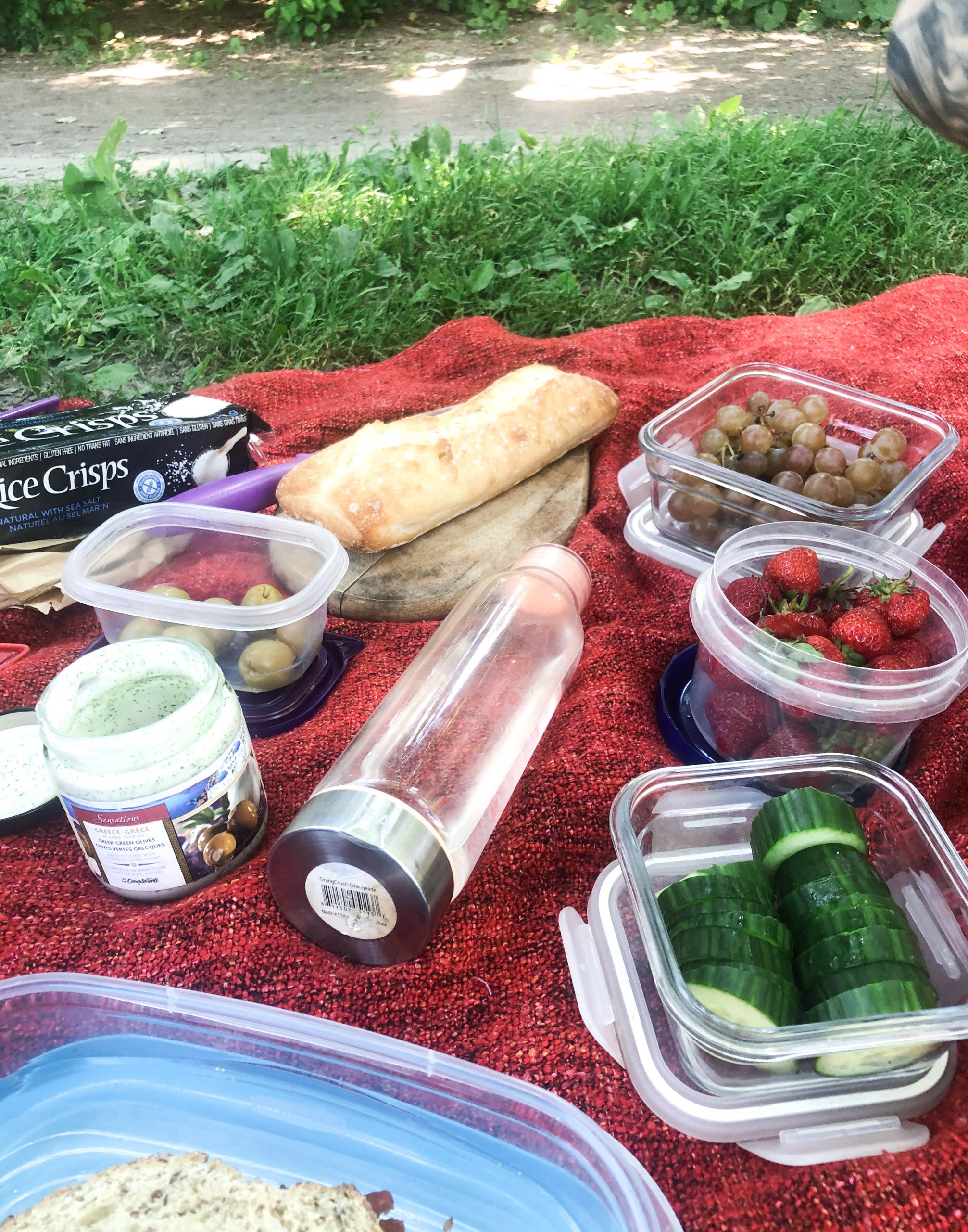 Vegan Picnic Ideas - PlantYou