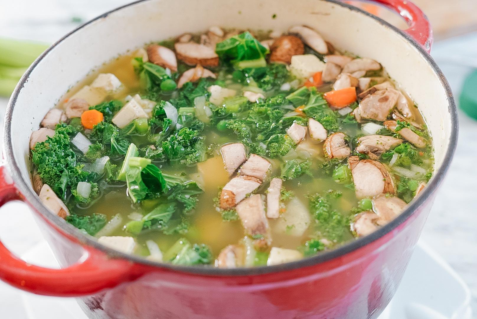 Vegan Chicken Noodle Soup (With Tofu, Kale and Mushrooms)! - PlantYou