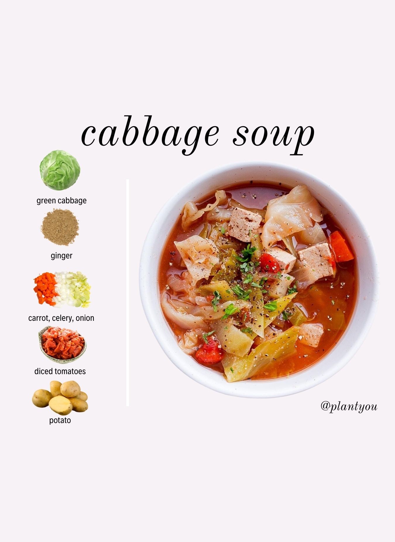 Healing Cabbage Soup Recipe