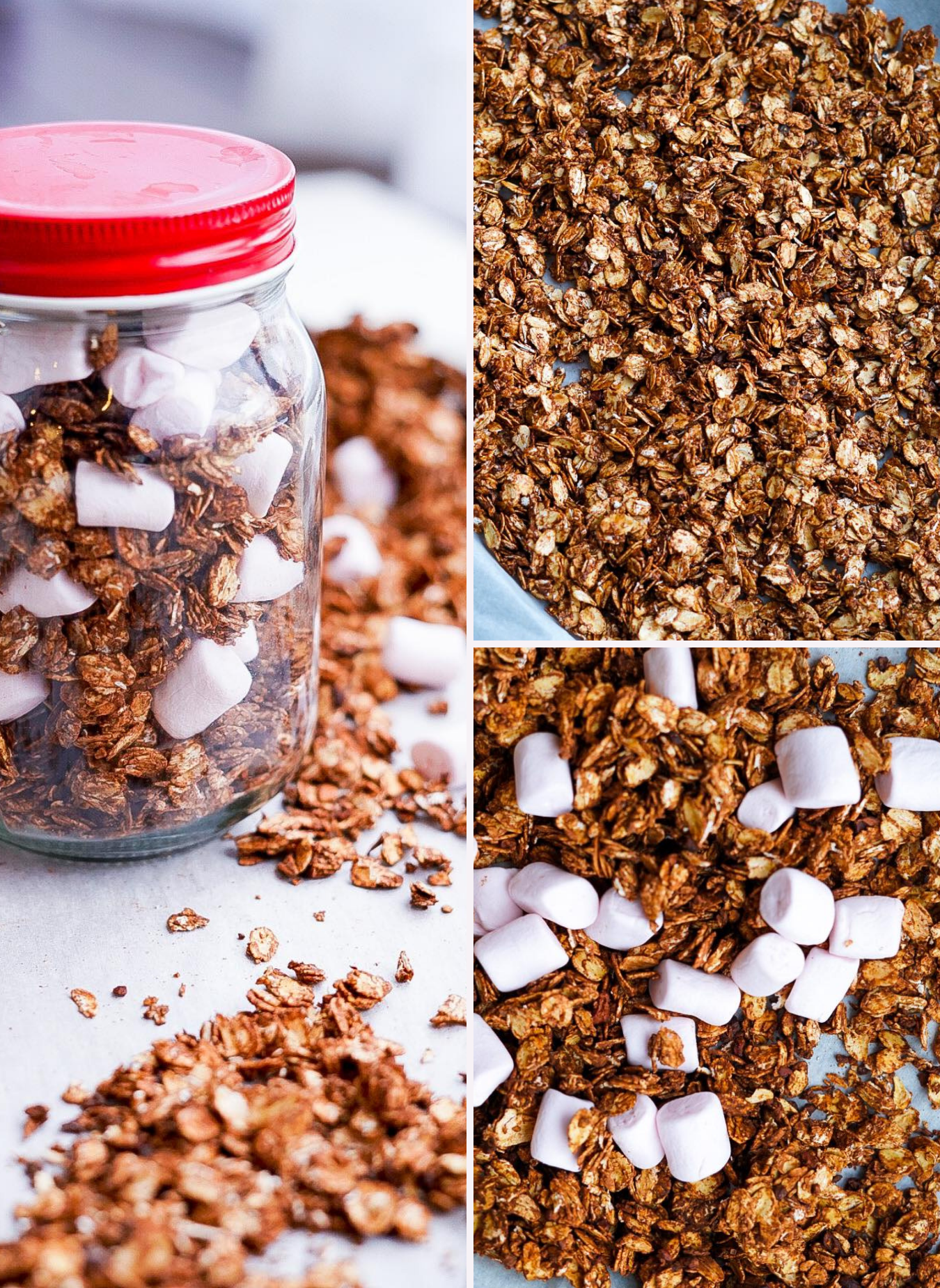 Easy Homemade Healthy Granola - PlantYou