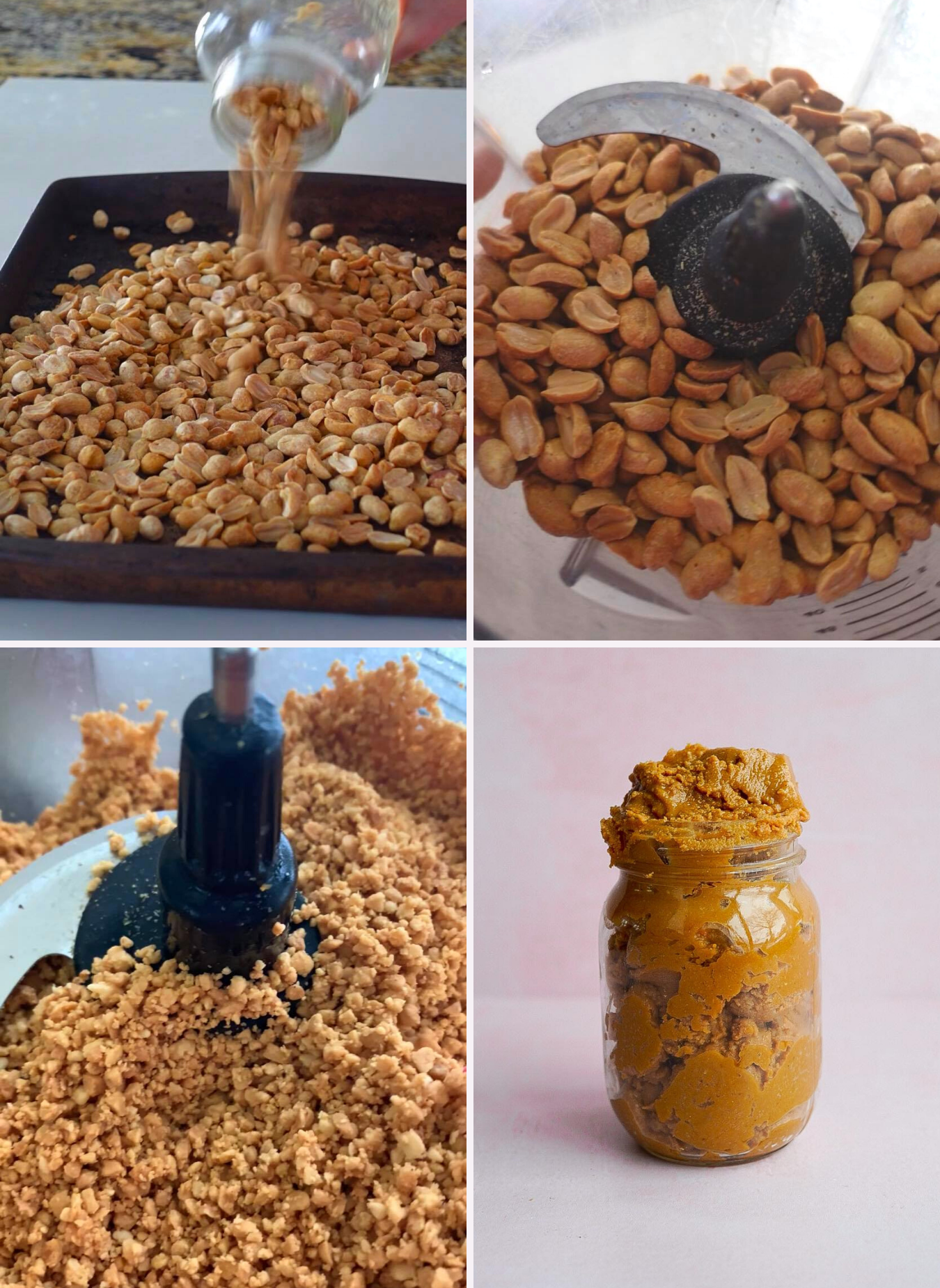 How To Make Peanut Butter - PlantYou - Recipe Instructions