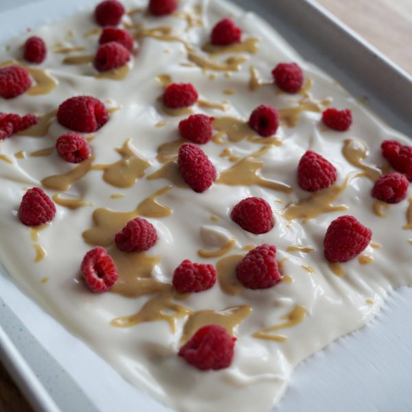 Vegan Yogurt Bark PlantYou