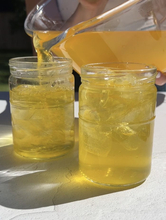 Pineapple Skin Tea - PlantYou