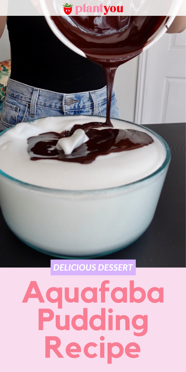 Chocolate Aquafaba Pudding