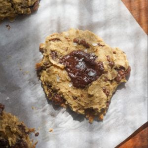 Vegan Oat Pulp Cookies