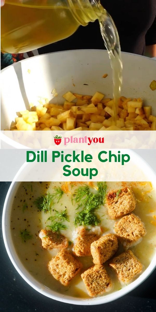 Dill Pickle Chip Soup