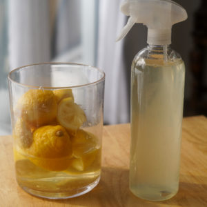 DIY Lemon Cleanser