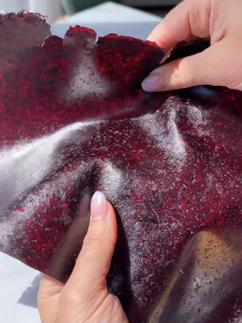 Blueberry Fruit Leather