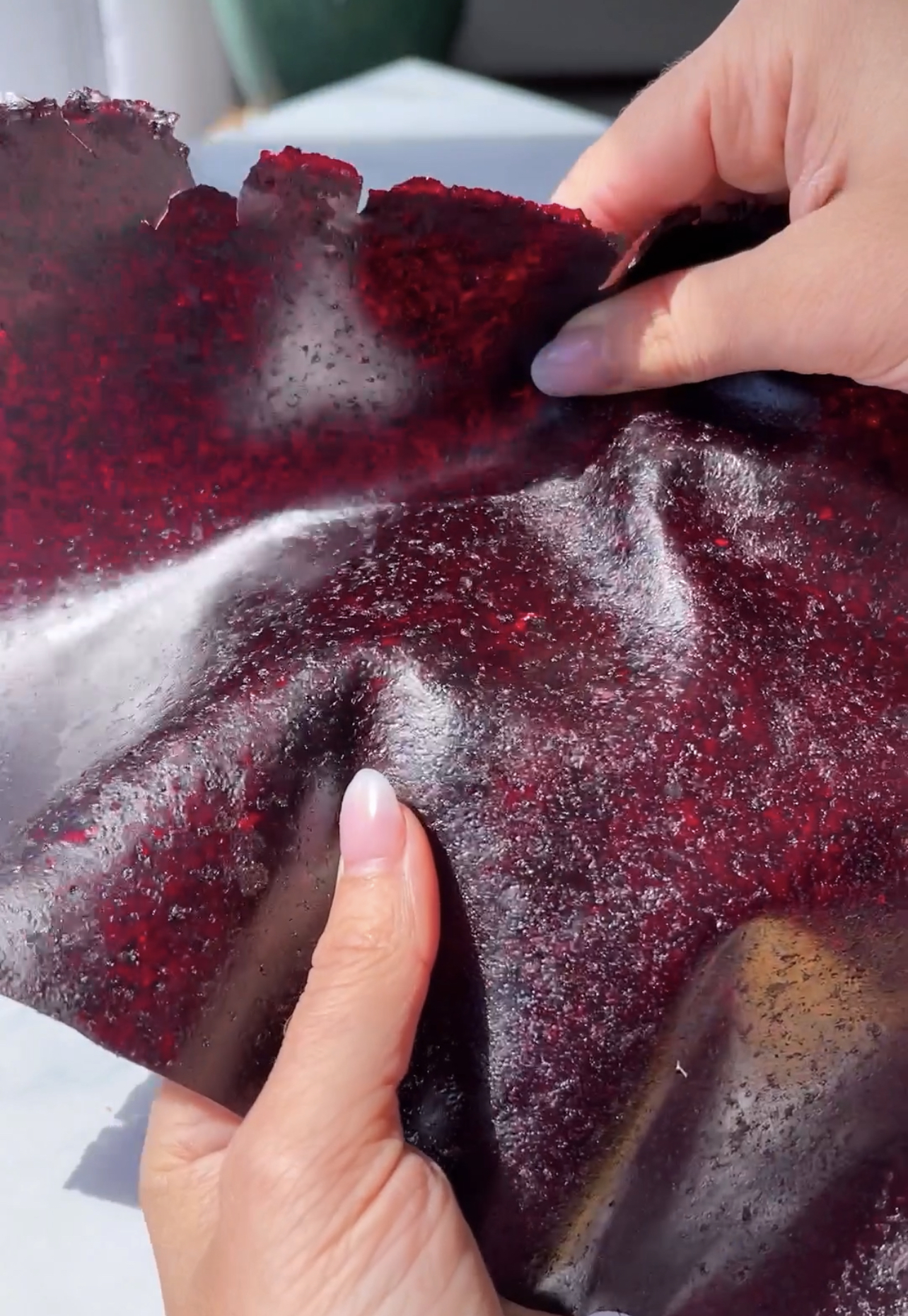 Blueberry Fruit Leather-image