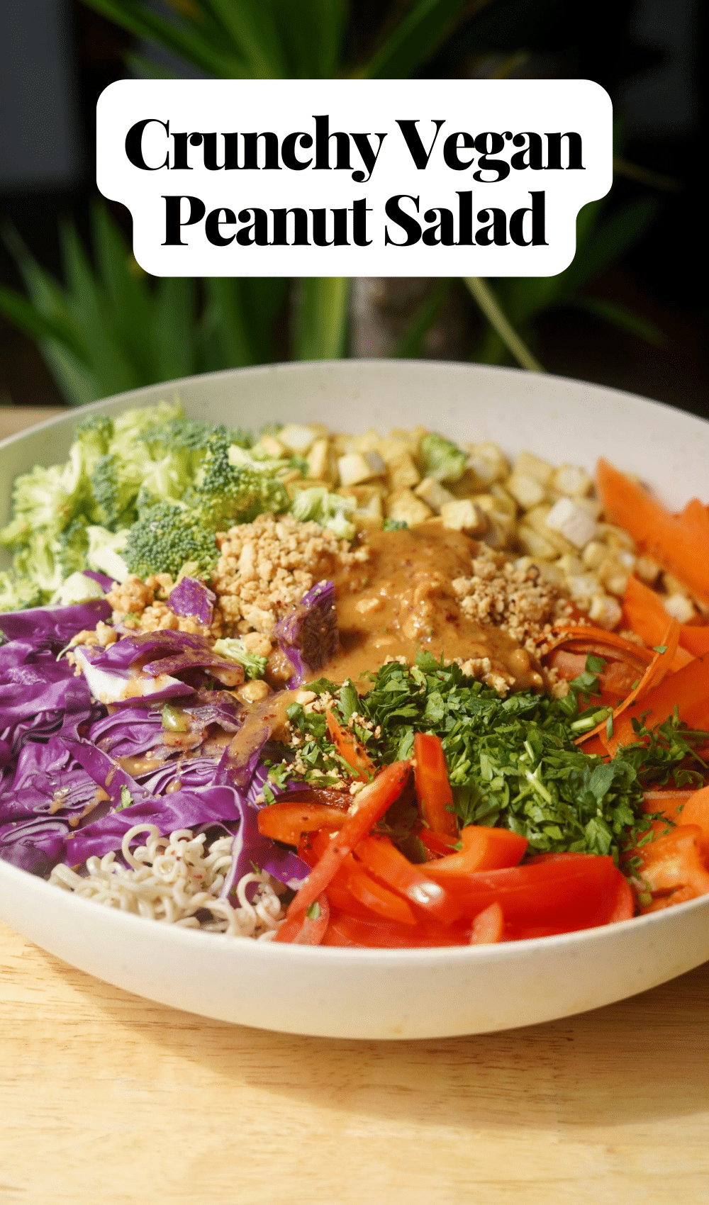 Peanut Salad PlantYou