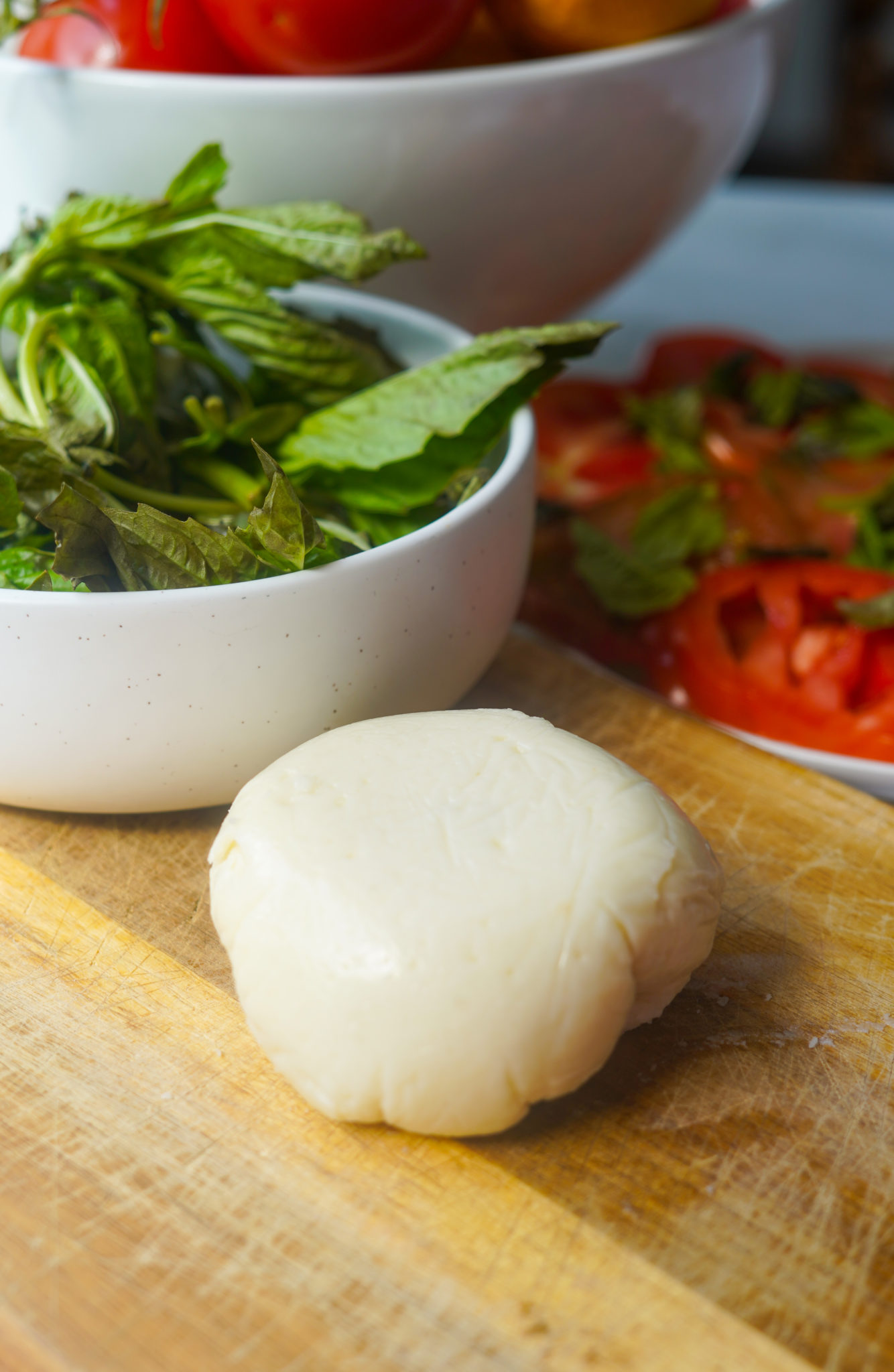 Vegan Mozzarella Recipe PlantYou