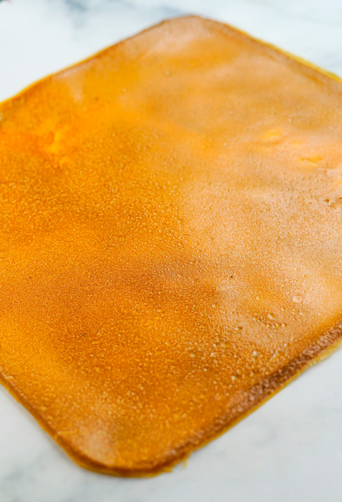 Mango Fruit Leather PlantYou