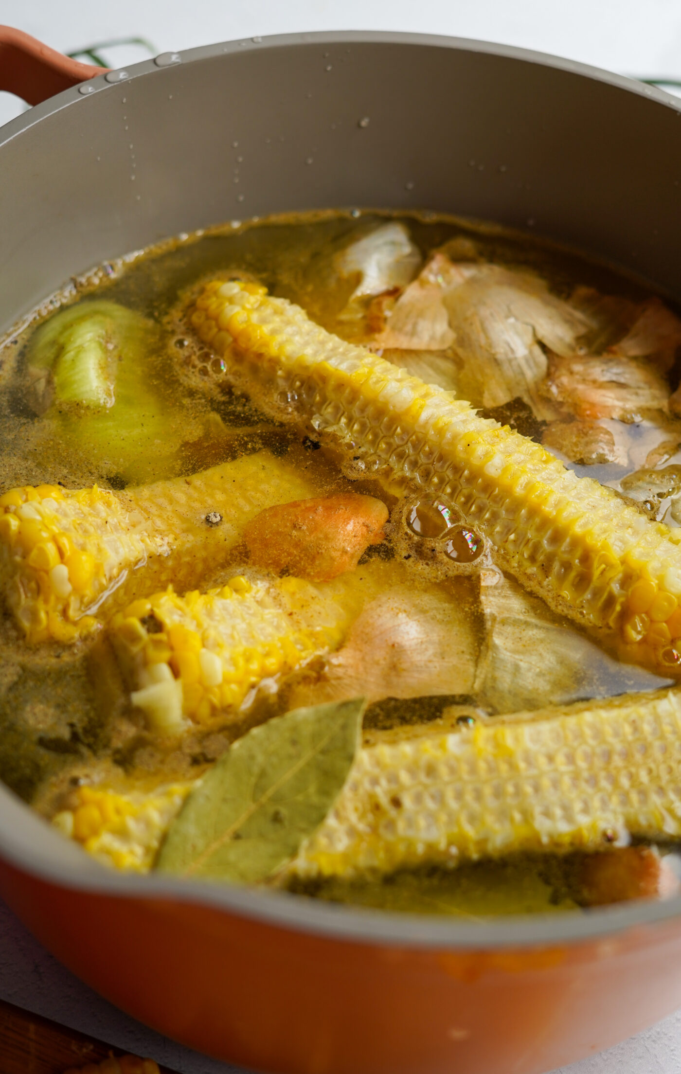 Vegan Chicken Broth PlantYou