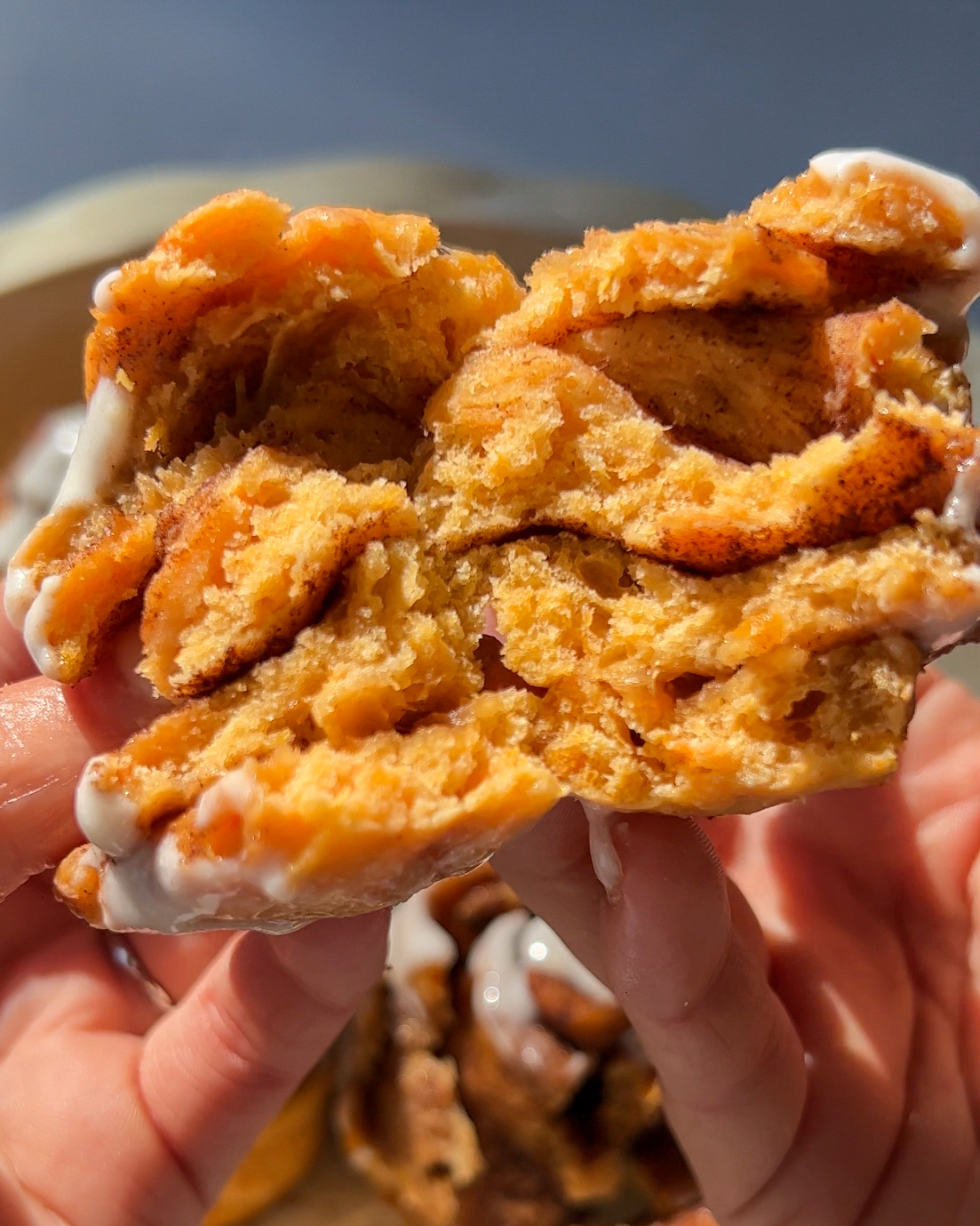 Sweet Potato Cinnamon Rolls - PlantYou