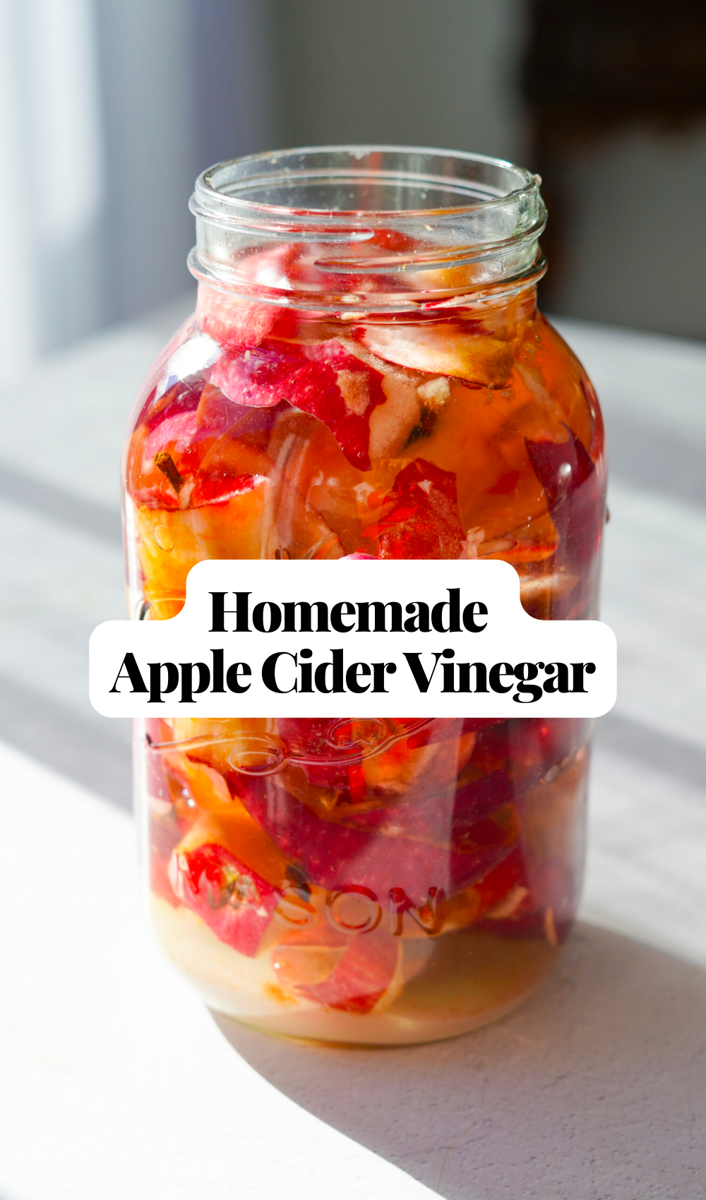 How to Make Homemade Apple Cider Vinegar - PlantYou