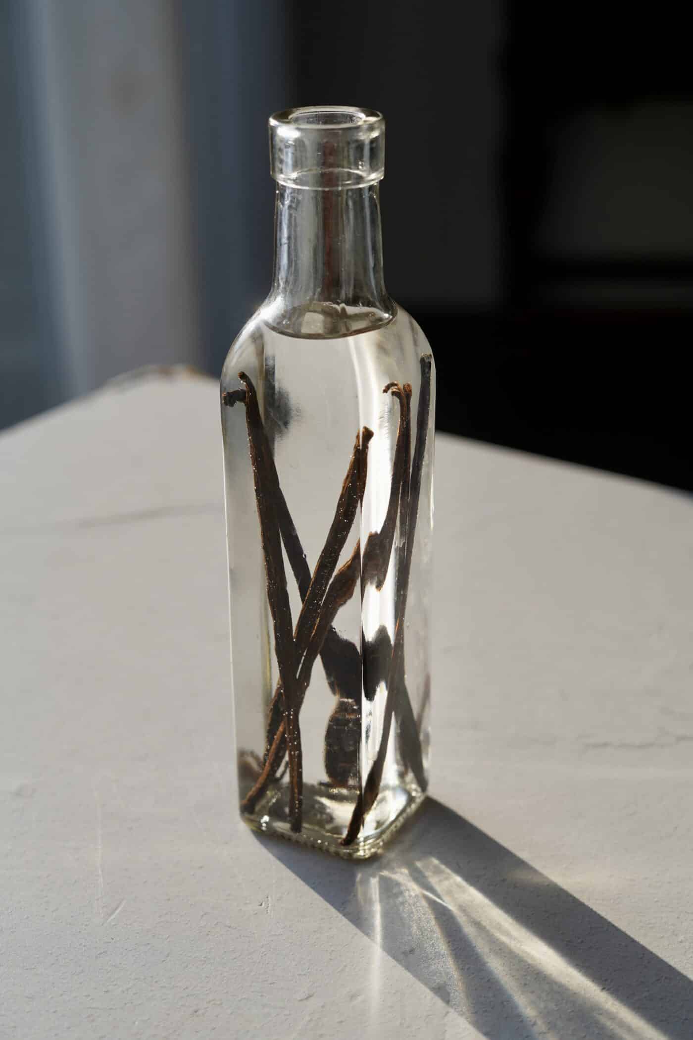 How to Make Vanilla Extract - PlantYou