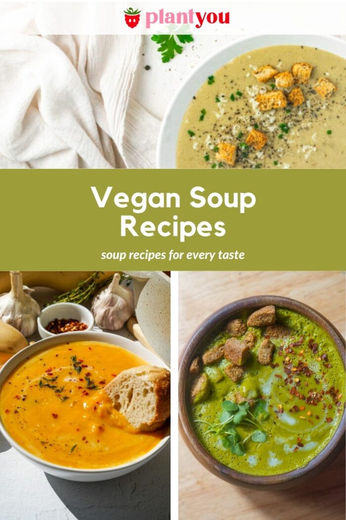 Vegan Soup Recipes Pinterest Image.