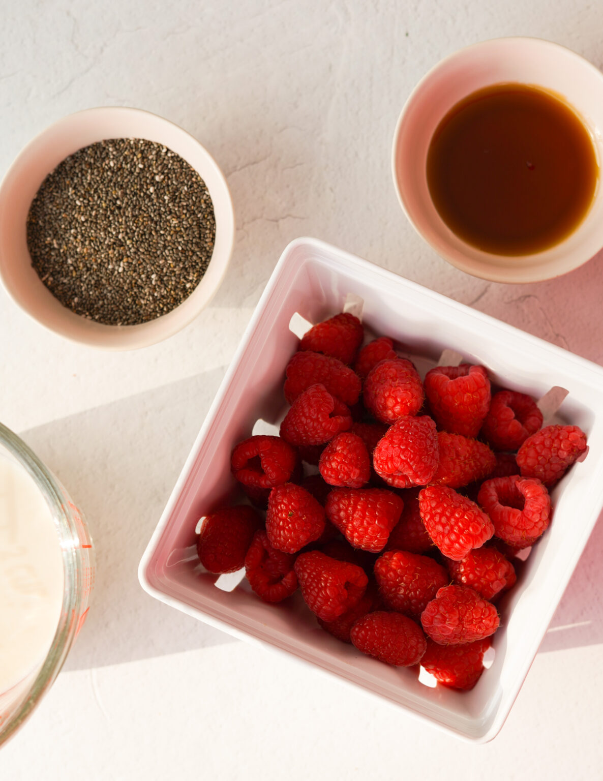 Berry Chia Pudding PlantYou
