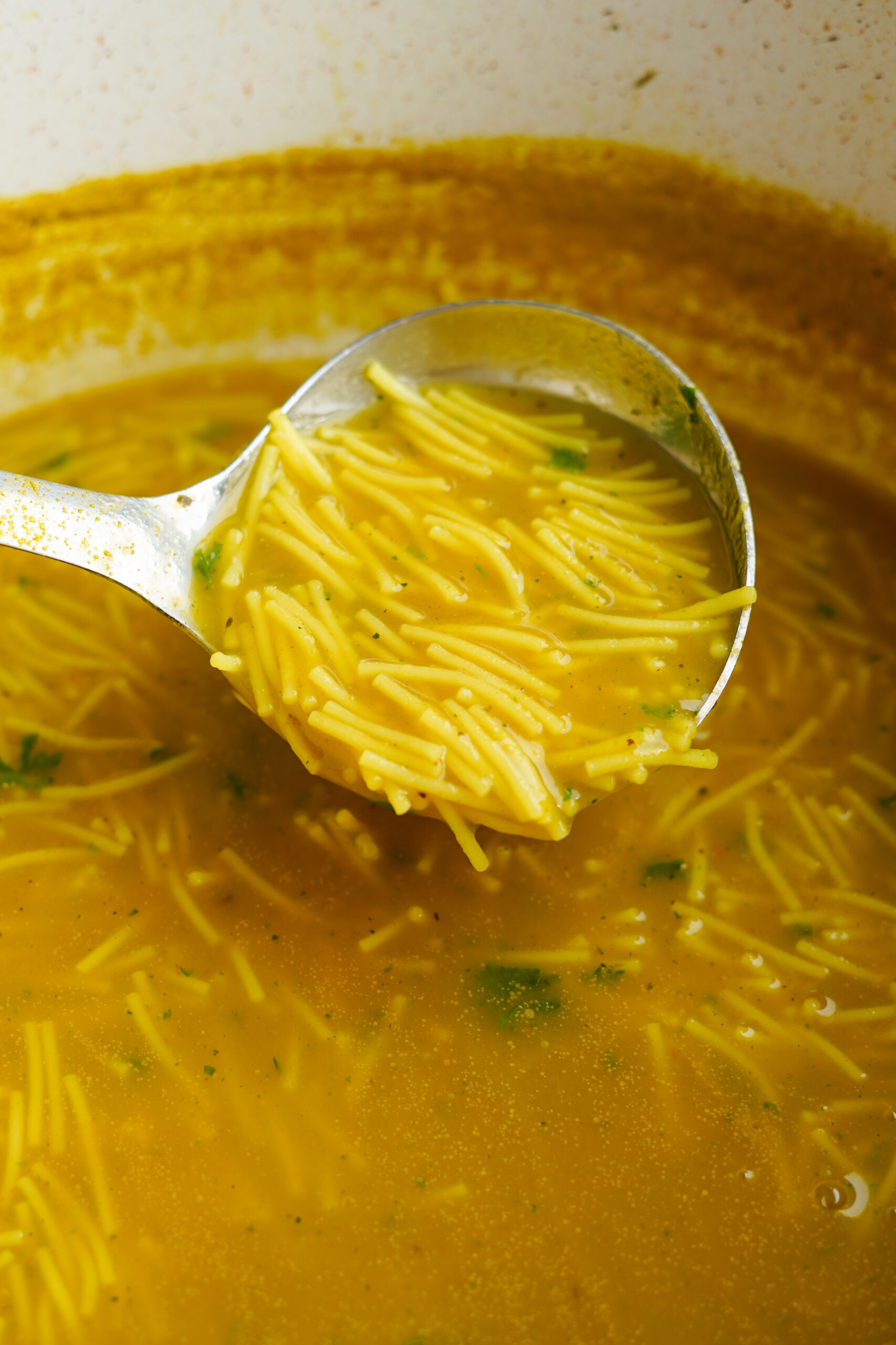 Vegan Chicken Noodle Soup (with Soy Curls) - The Hidden Veggies