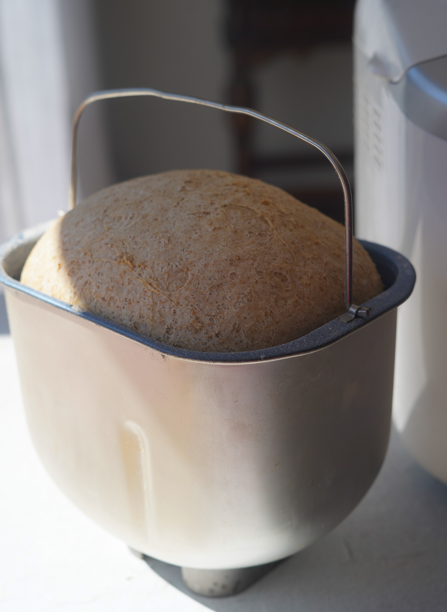 The Easy Bread Machine Recipe PlantYou