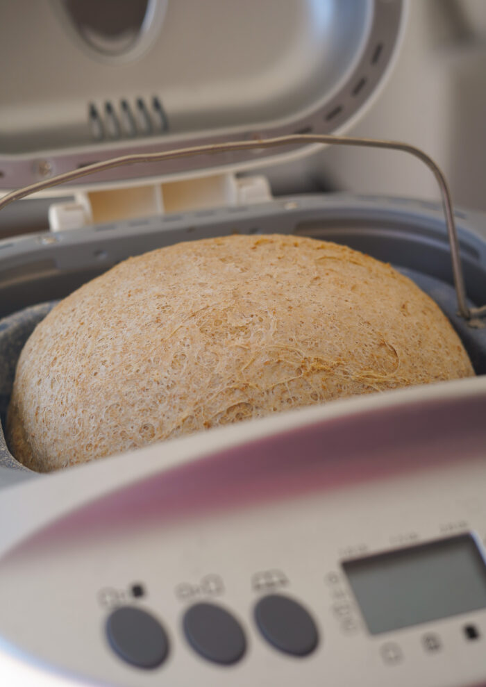 vegan loaf, freshly baked pictured in the bread maker machine