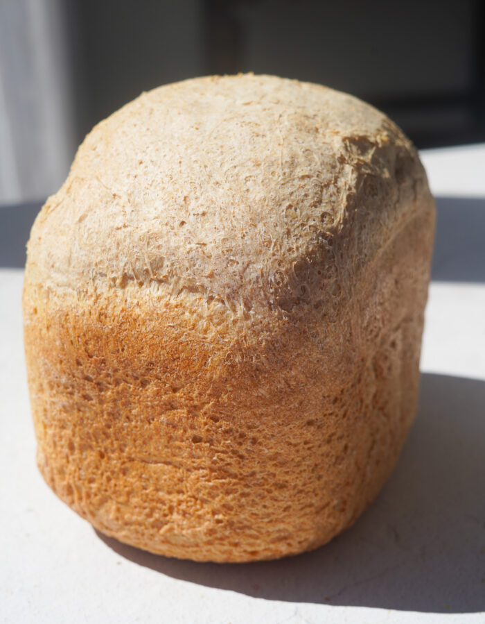 whole wheat bread loaf set on a white counter