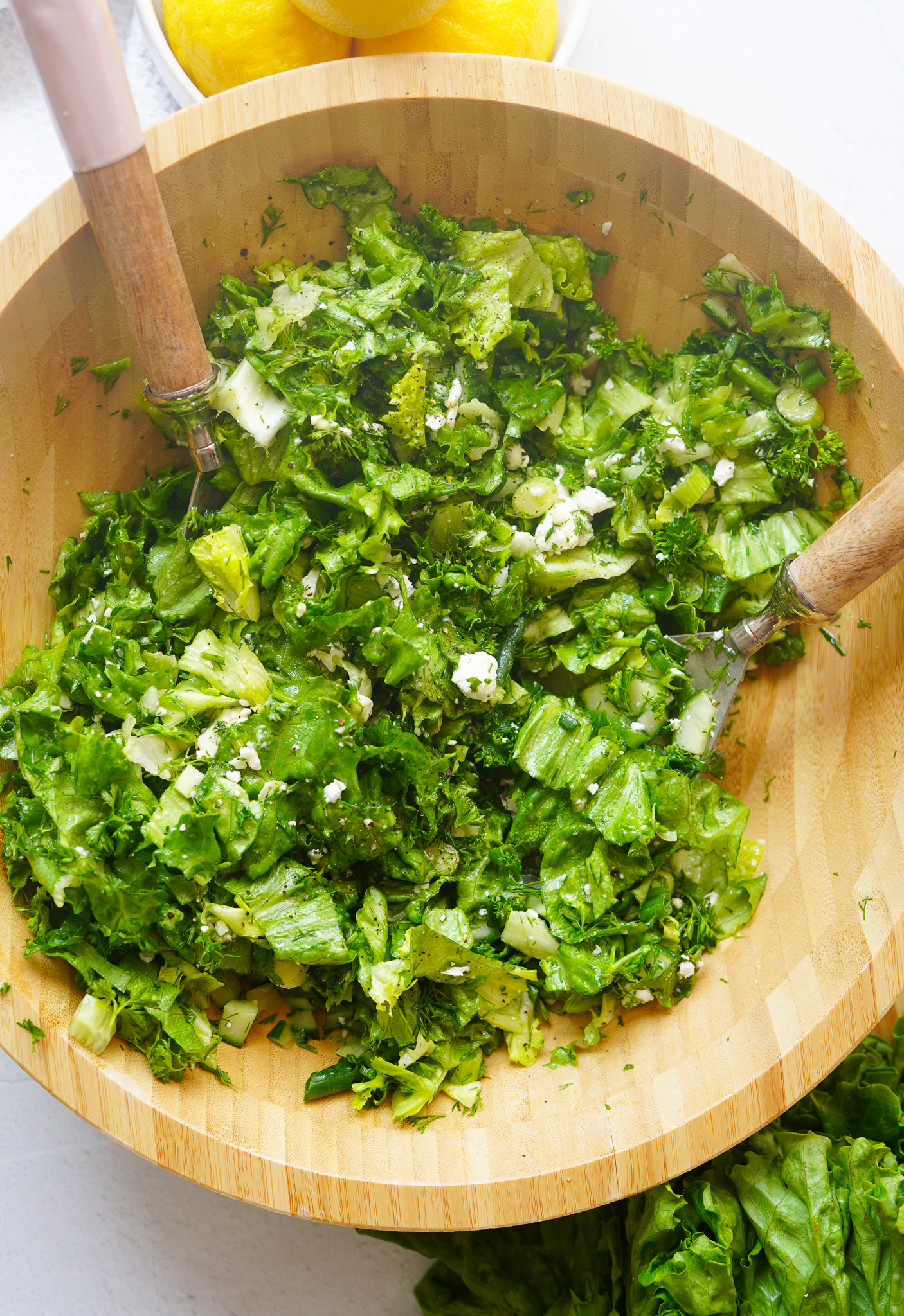 Lemon Dill Salad PlantYou