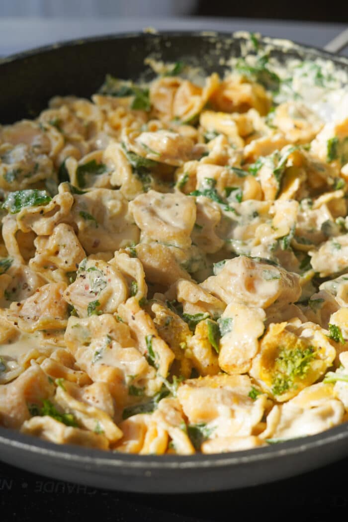 lemon garlic pasta in the frying pan