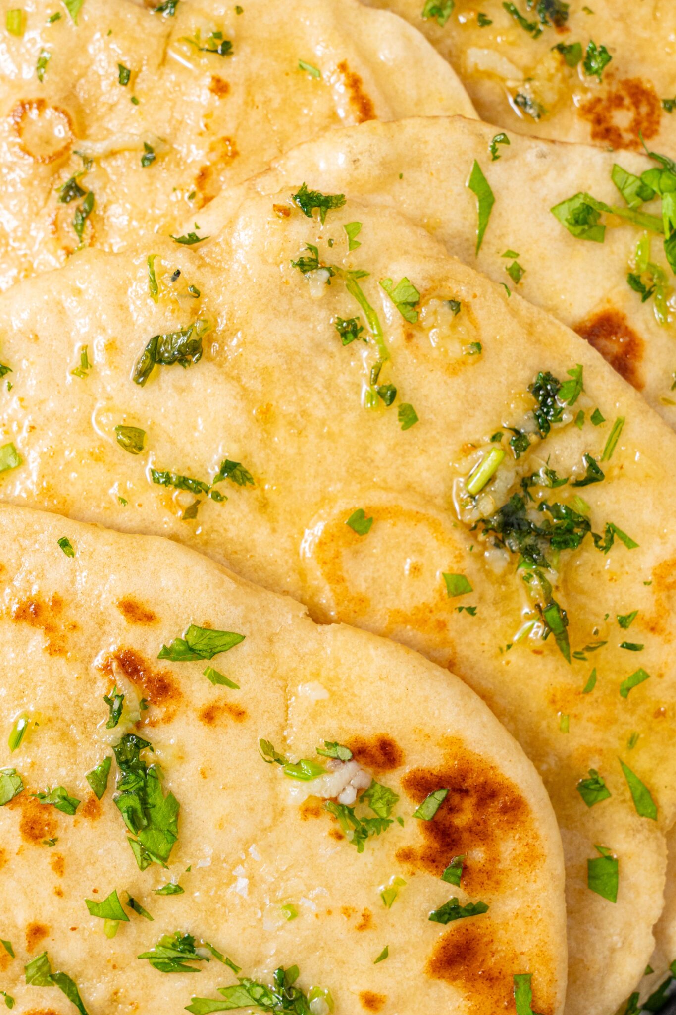 High Protein Flatbread PlantYou