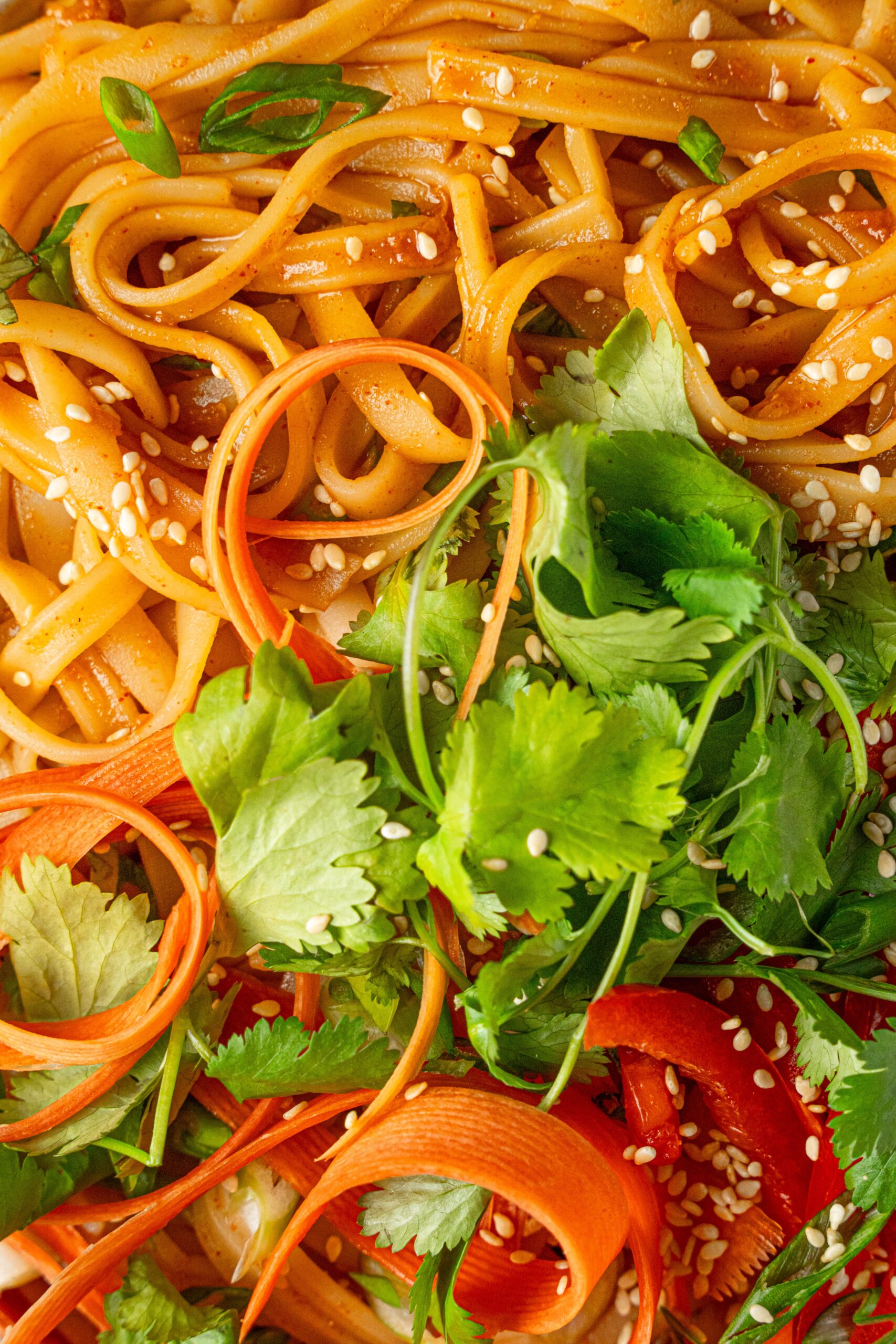 fiery gochujang noodles close up