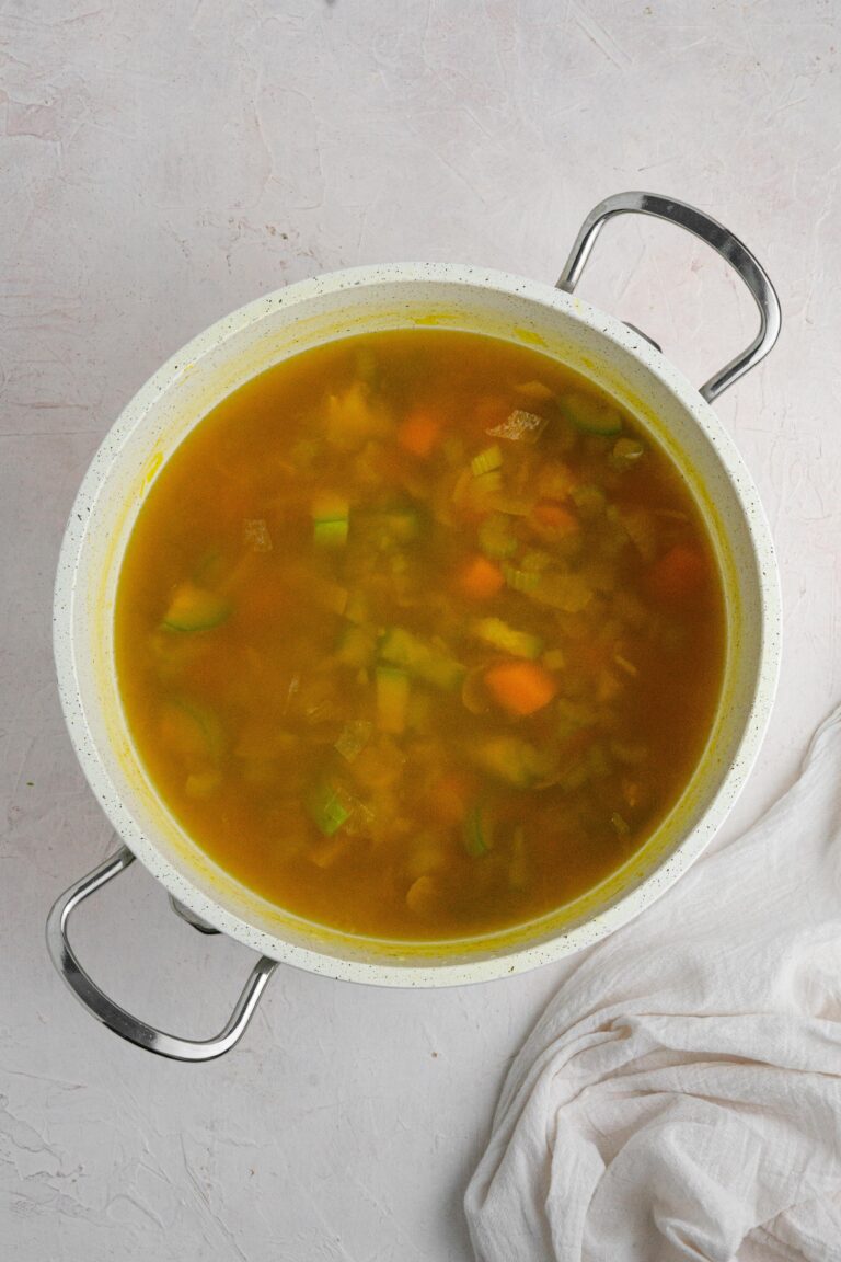 Hidden Veggie Broth - PlantYou