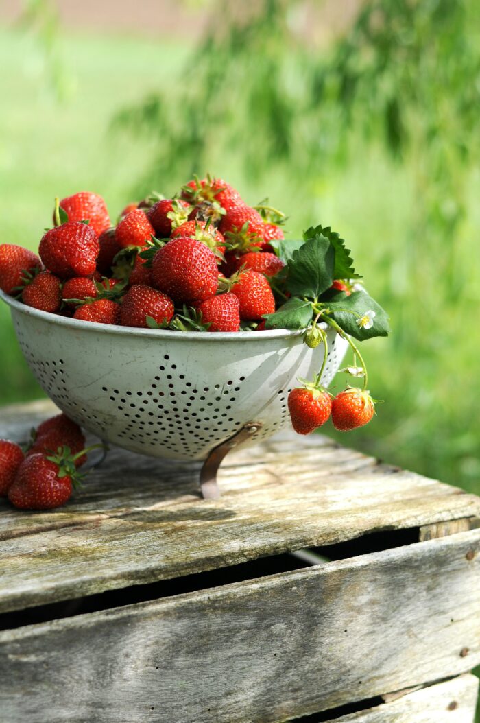 strawberries in a colander unsplash