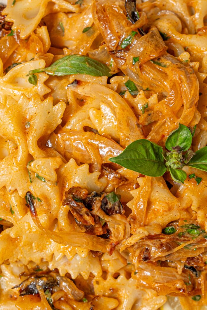 close up of one pan caramelized onion pasta