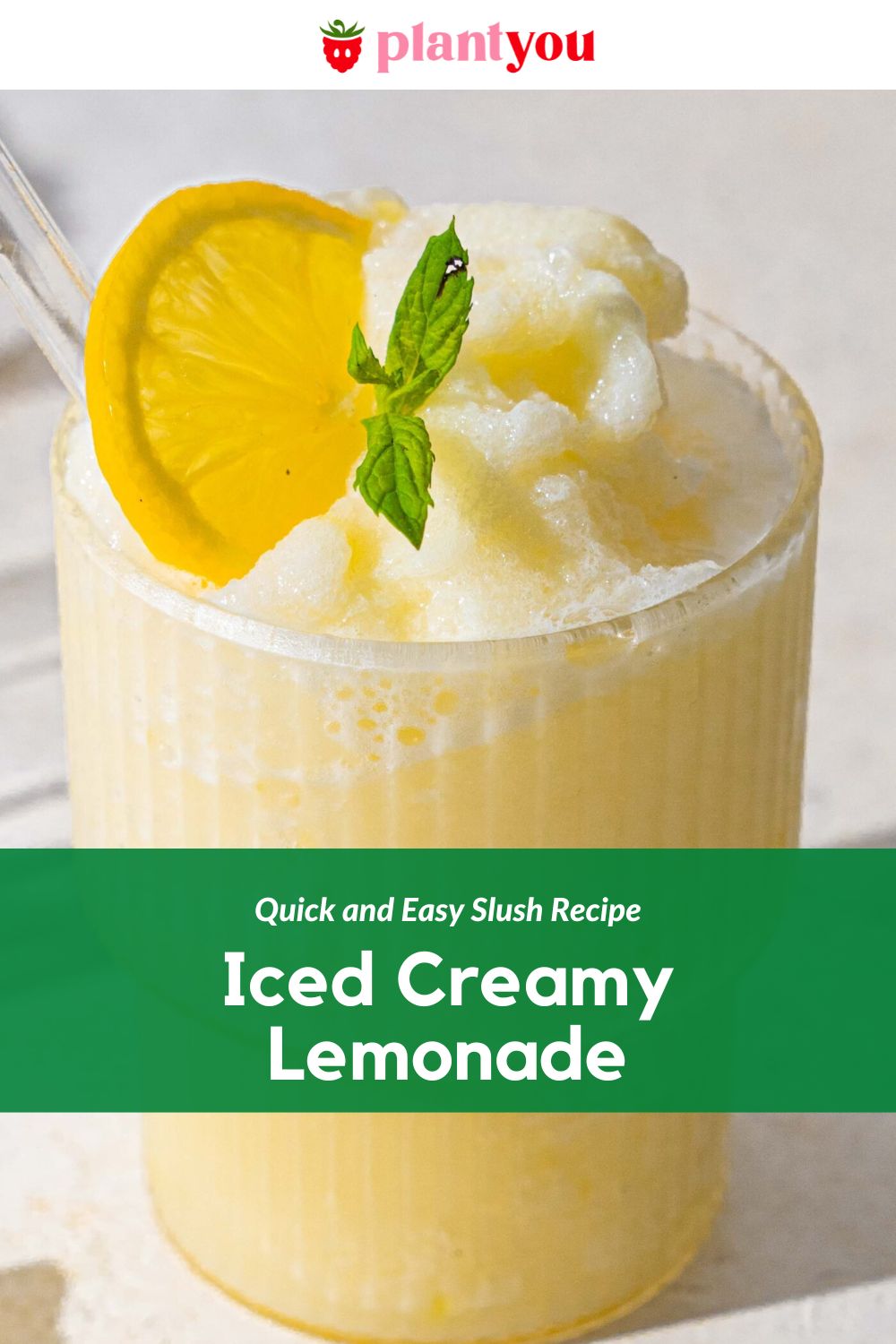 iced-creamy-lemonade-plantyou