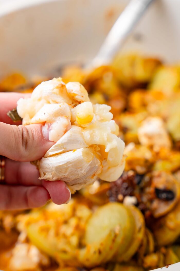 A close-up shot of a hand squeezing cloves out of roasted garlic.