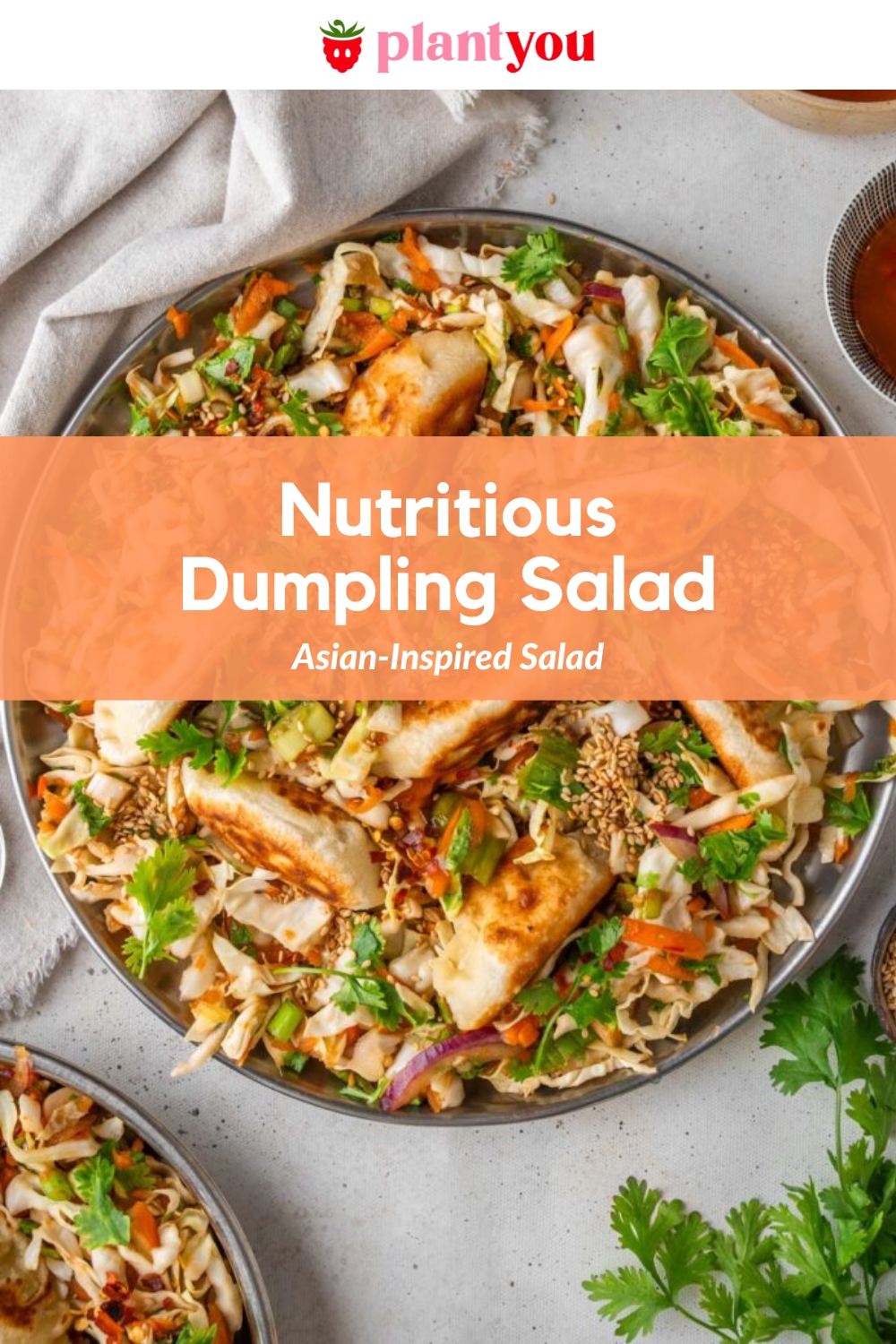 dumpling-salad-plantyou