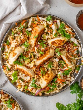 Dumpling salad, title image.