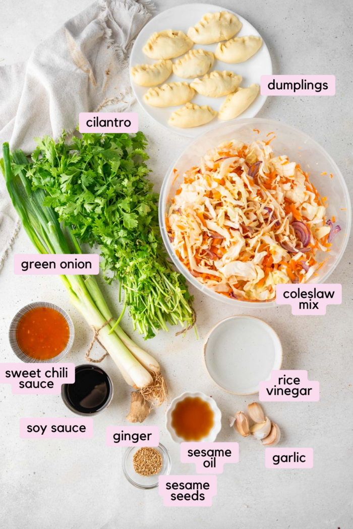 Ingredients for the dumpling salad labeled in the picture.