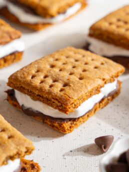 Frozen smores close up.