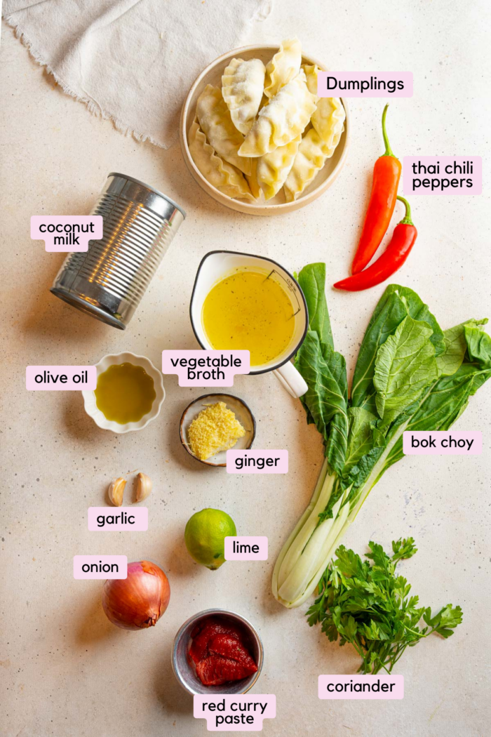 Ingredients for the easy red curry soup laid out and labeled on light background.