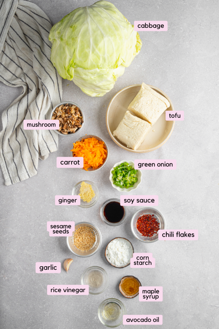 Ingredients for the vegan cabbage wrapped dumplings with tofu, laid out and labeled.