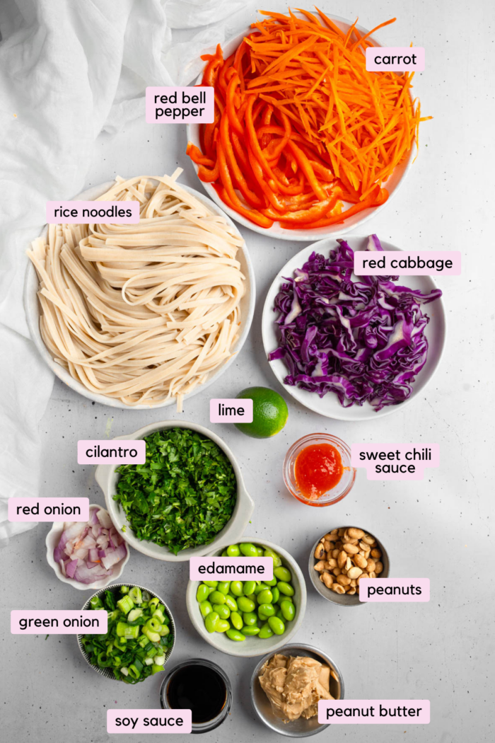 Ingredients for Thai noodle salad laid out and labeled on a light background.
