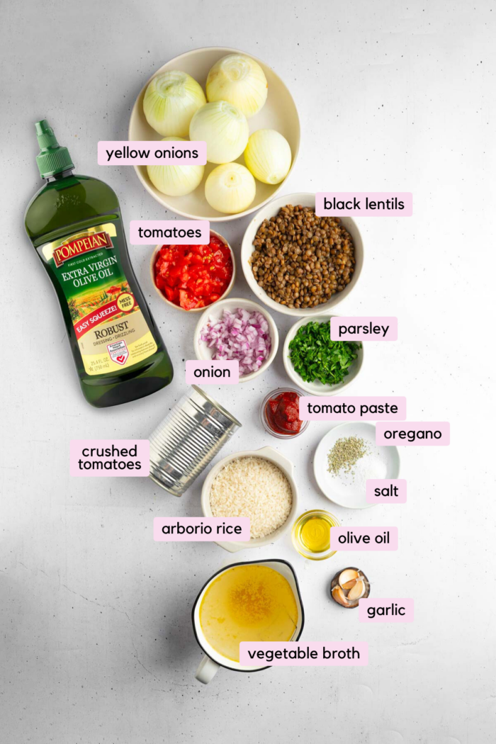 Ingredients for the stuffed onions dish laid out on a light plain background.