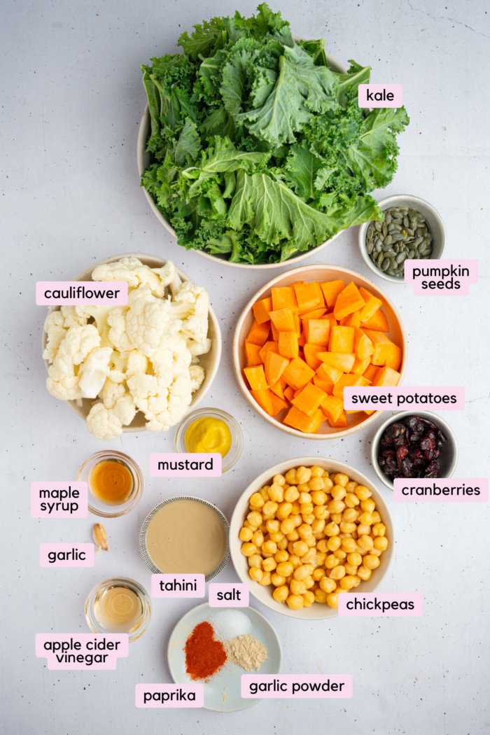 Ingredients for the winter kale salad laid out and labeled clearly on a white background.